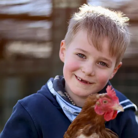 Daire Nordsee Bauernhof Wulff - 