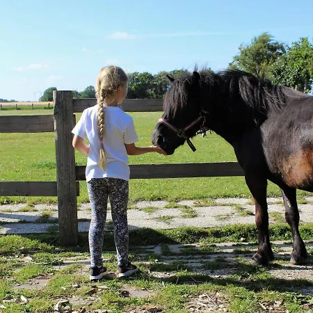 Daire Nordsee Bauernhof Wulff - 