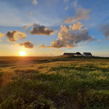 Daire Nordsee Bauernhof Wulff - 