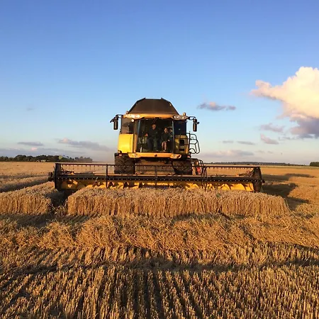 Nordsee Bauernhof Wulff - 