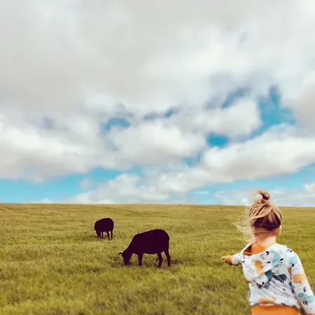 Nordsee Bauernhof Wulff - 