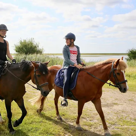 Daire Nordsee Bauernhof Wulff - 