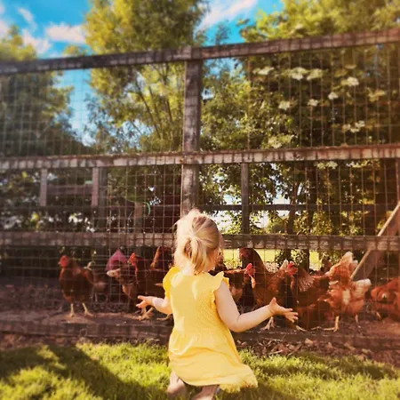 Nordsee Bauernhof Wulff - 