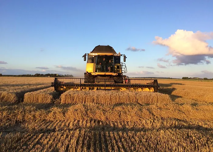 Nordsee Bauernhof Wulff - 